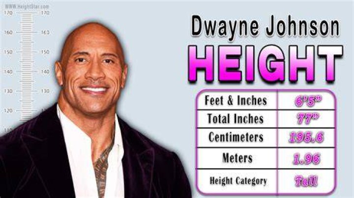 Alexander Bertrand Height Age: How Old Is He?