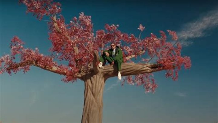 
Bad Bunny’s drops new single ‘Where She Goes’: When and where to watch 