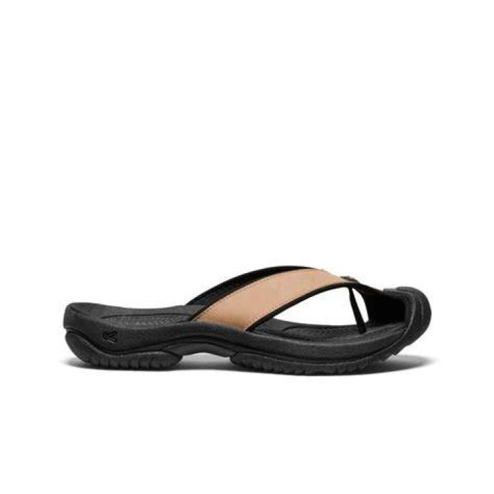 Carolinawinee | TG Time
