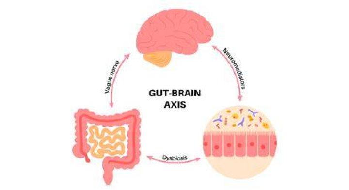 
Clara Chia | Anxiety And Health 