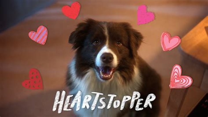 Echo On Netflix’s Heartstopper Portrays The Dog Nellie & He Is The Actual Breakout Star of The Show