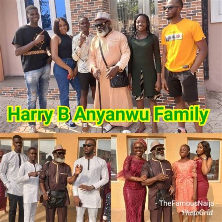 Harry B Anyanwu Net Worth And Biography