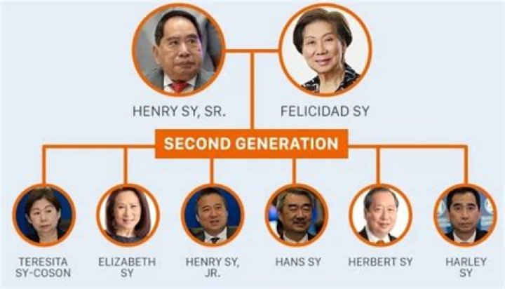 Henry Sy Jr Facts, Net Worth, Age, Birthday, Wikipedia, Who, Family, Biography