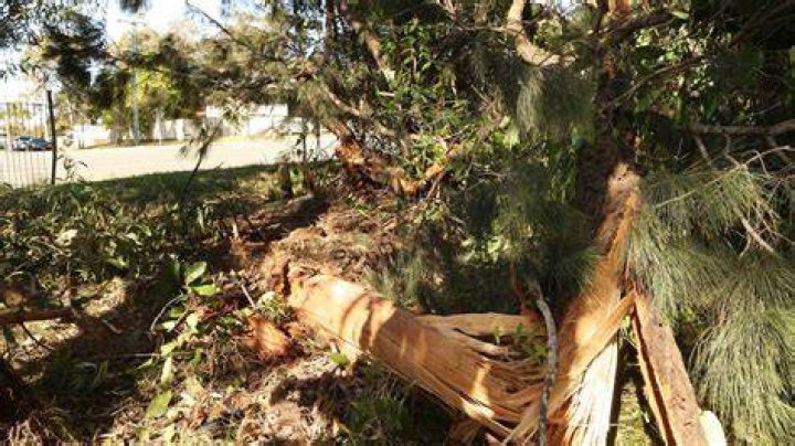 
Karen Williams Accident In Redlands, What Happened To Her? 