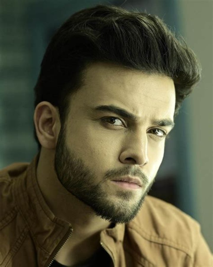
Krishna Kaul Height, Weight, Net Worth, Age, Birthday, Wikipedia, Who, Nationality, Biography 