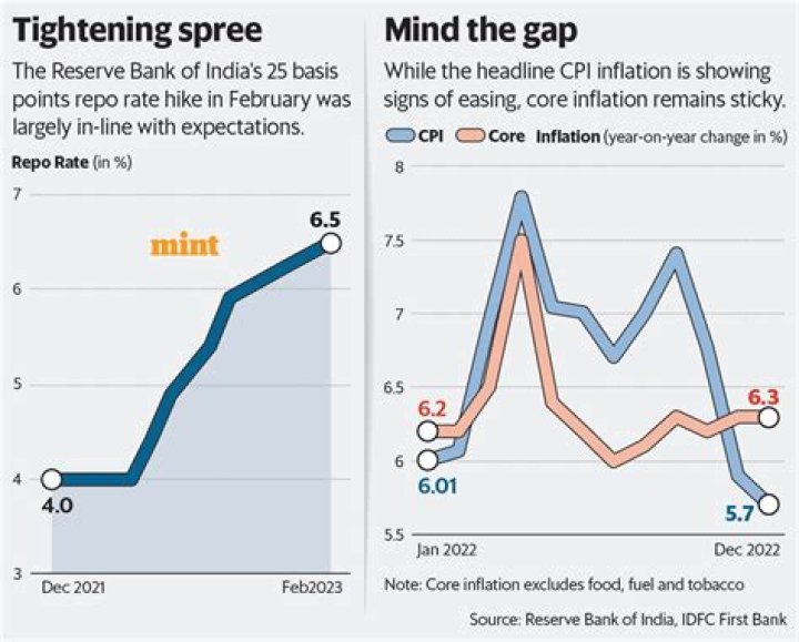 
RBI rate hike expected, terminal rate hike to be 6.5%: Experts 