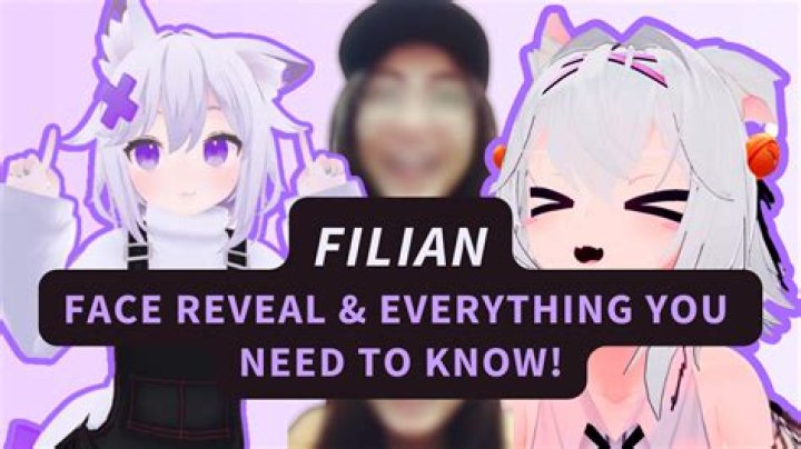 This Is What Gawr Gura Looks like, VTuber Accidental Face Reveal On Stream
