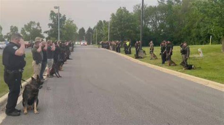 
Video shows first responders fighting dogs that killed an 80-year-old and left 3 injured in San Antonio 