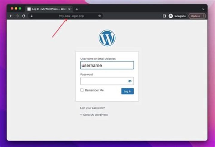 What is the wordpress login url