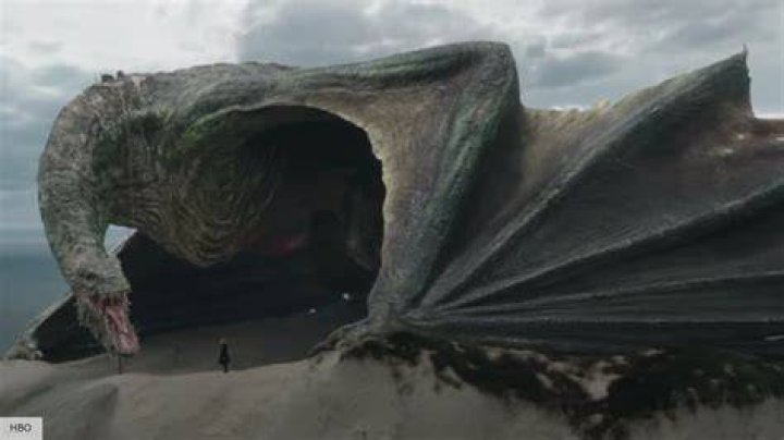 
Where Is Vhagar and Balerion The Black Dread? Dragon From GOT Should Have Been In The Prequel 