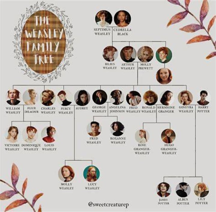 Who are Blake Wesleys Parents? Blake Wesley Biography, Parents Name, Nationality and More